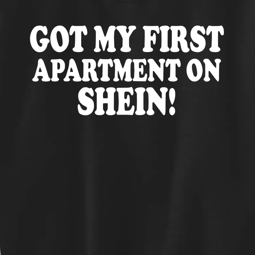 Got My First Apartment On Shein Kids Sweatshirt