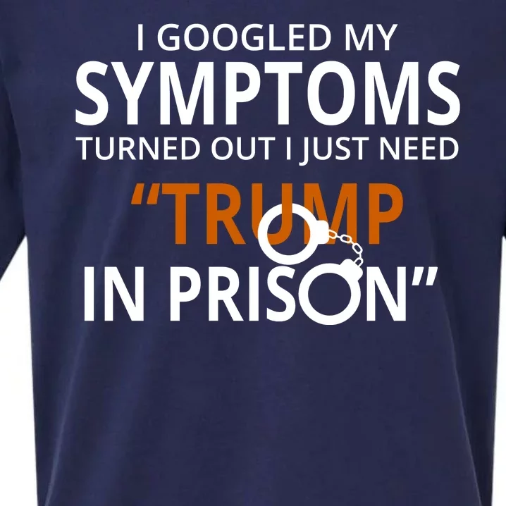 Googled My Symptoms Need Trump In Prison Sueded Cloud Jersey T-Shirt