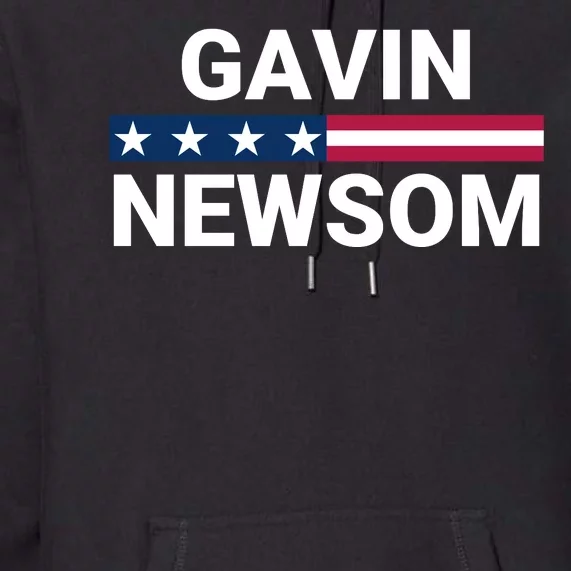 Gavin Newsom 2024 President Men Women Vote Gavin Newsom 2024 Premium Hoodie