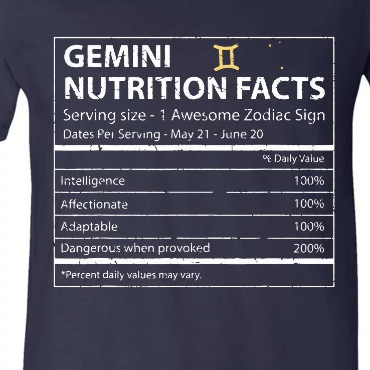 Gemini Nutrition Facts Zodiac Sign V-Neck T-Shirt