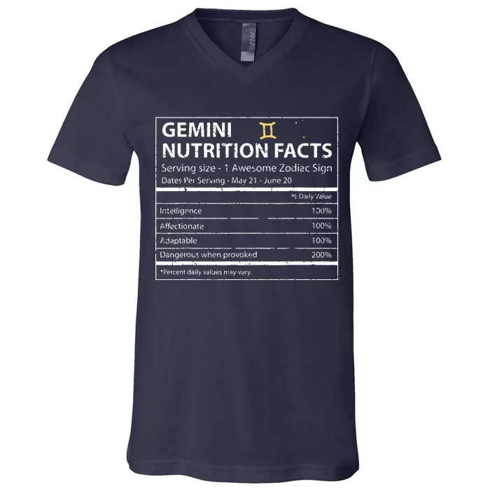 Gemini Nutrition Facts Zodiac Sign V-Neck T-Shirt