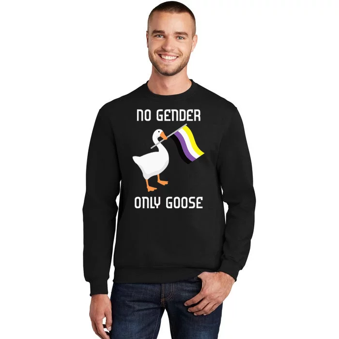 Goose No Gender Pride Flag Lgbtq Gay Tall Sweatshirt