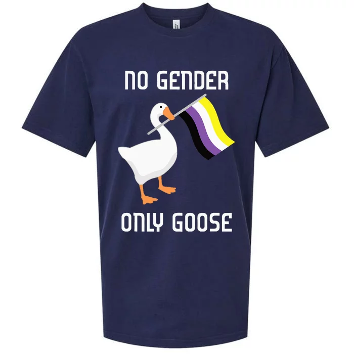 Goose No Gender Pride Flag Lgbtq Gay Sueded Cloud Jersey T-Shirt