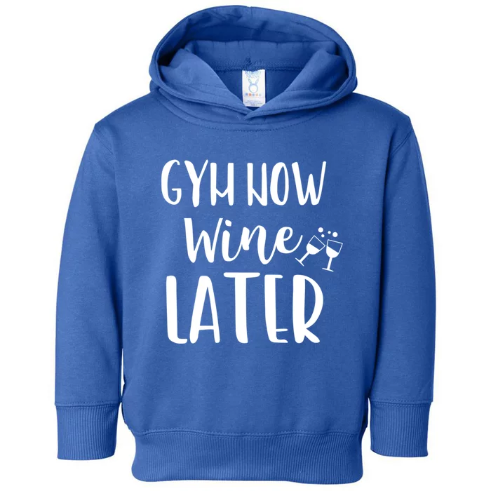 Gym Now Wine Later Workout Gift Toddler Hoodie