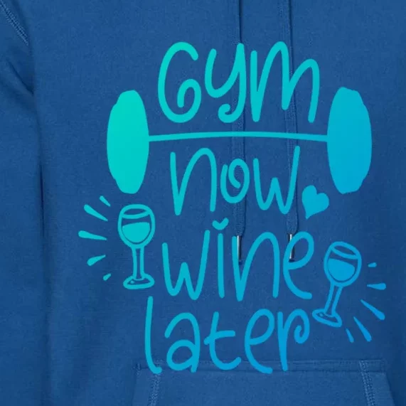 Gym Now Wine Later Funny Gift Premium Hoodie