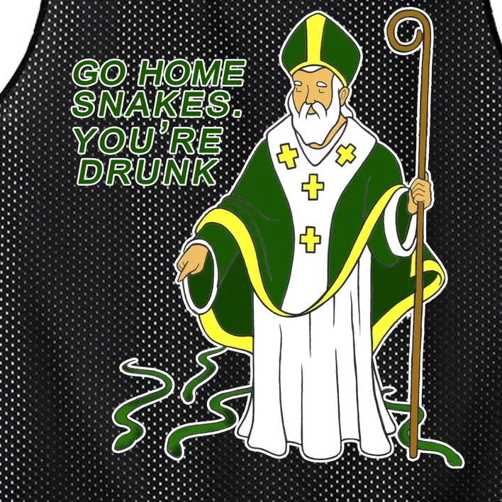 Go Home Snakes Your Drunk St Patrick's Mesh Reversible Basketball Jersey Tank