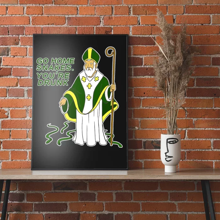 Go Home Snakes Your Drunk St Patrick's Poster