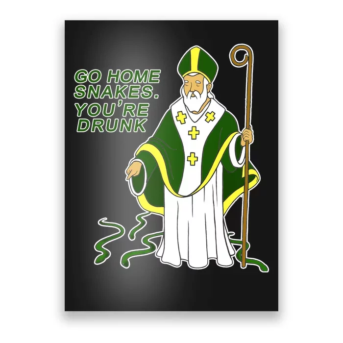 Go Home Snakes Your Drunk St Patrick's Poster