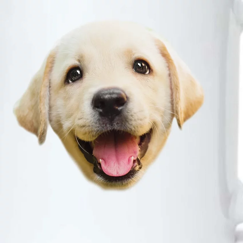 Golden Retriever Pup Face Black Color Changing Mug