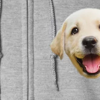 Golden Retriever Pup Face Full Zip Hoodie