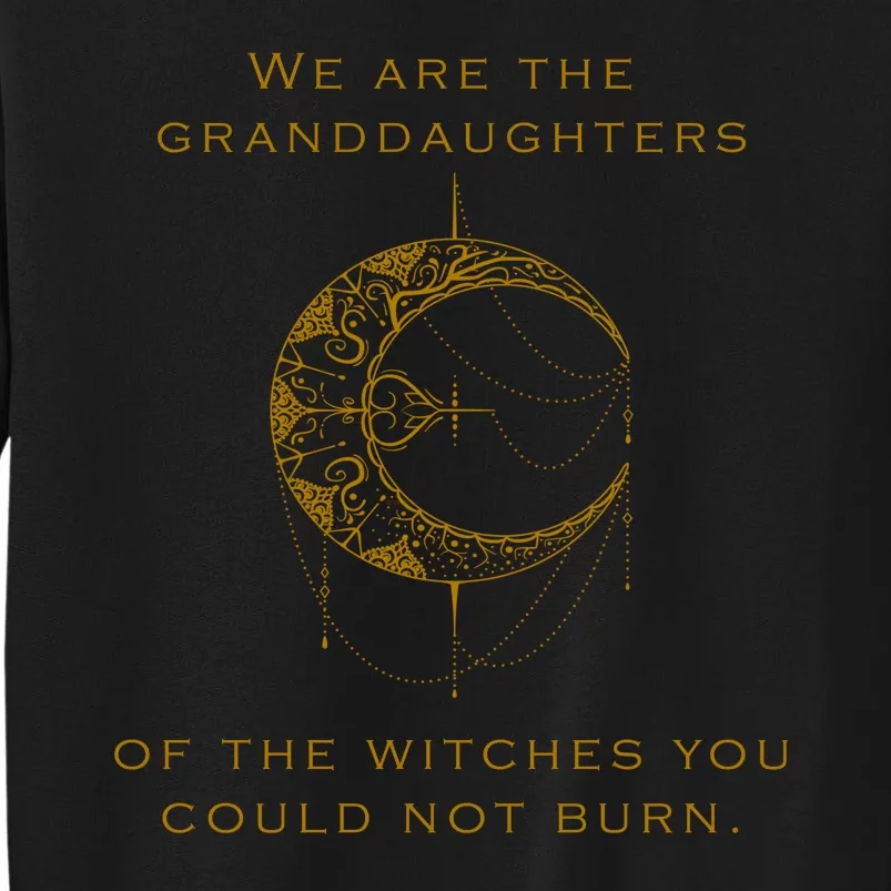 Granddaughters Of The Witches You Could Not Burn Sweatshirt