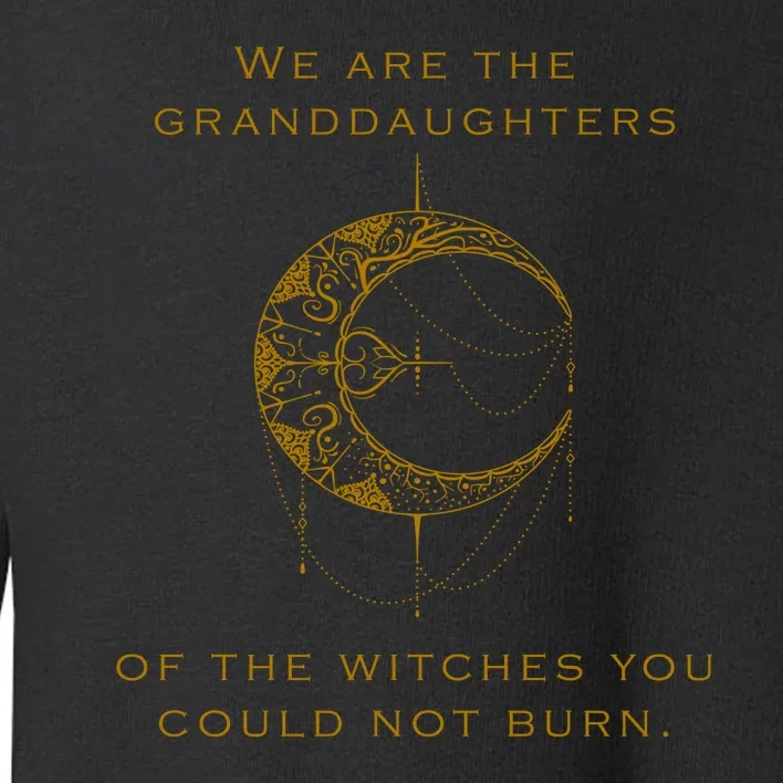 Granddaughters Of The Witches You Could Not Burn Toddler Sweatshirt