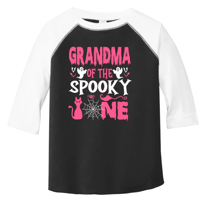 Grandma Of The Spooky One Halloween 1st Birthday Girl Toddler Fine Jersey T-Shirt