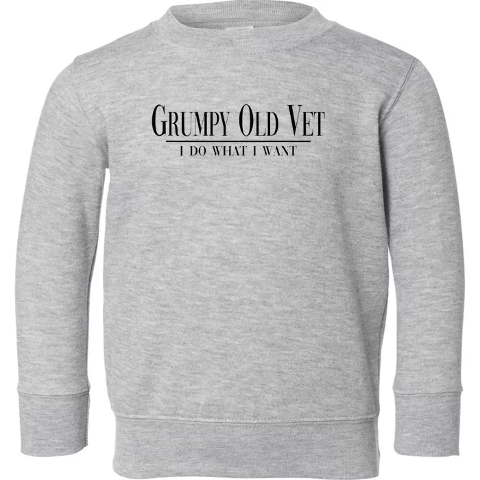 Grumpy Old Vet I Do What I Want Funny Military Veteran Style Toddler Sweatshirt