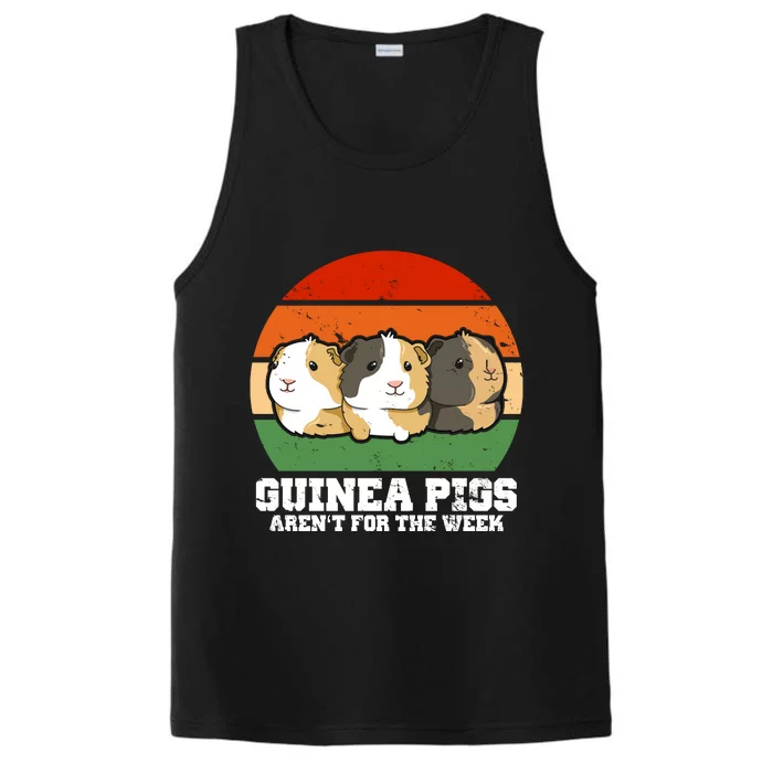 Guinea Pigs Aren't For The Week Performance Tank