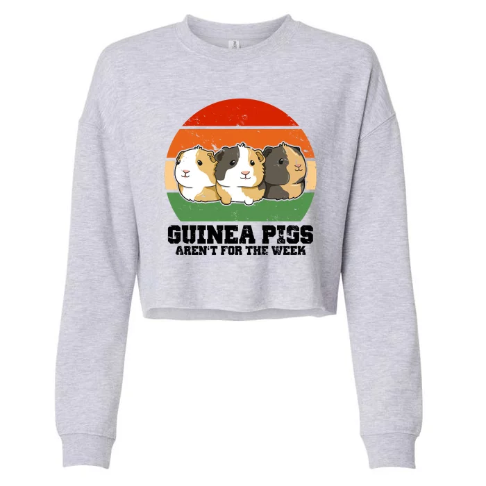 Guinea Pigs Aren't For The Week Cropped Pullover Crew