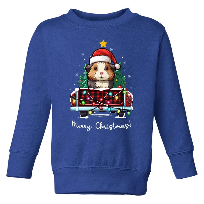 Guinea Pig Christmas Truck Plaid Funny Xmas Tree Gift Toddler Sweatshirt