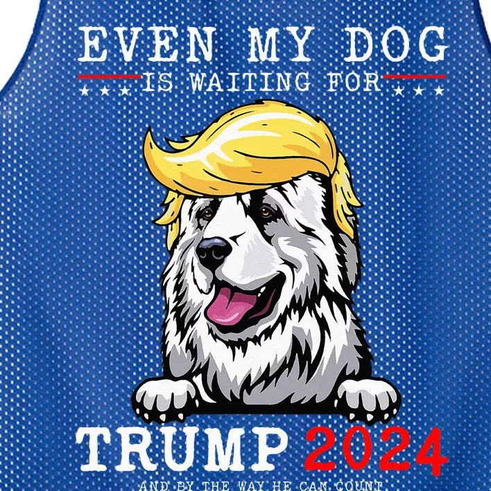 Great Pyrenees Dog Even My Dog Is Waiting For Trump 2024 Mesh Reversible Basketball Jersey Tank