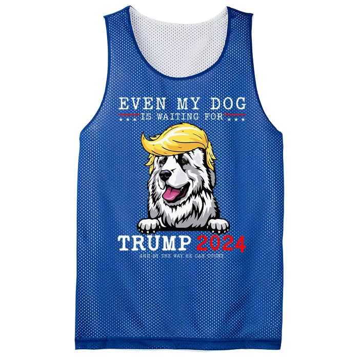 Great Pyrenees Dog Even My Dog Is Waiting For Trump 2024 Mesh Reversible Basketball Jersey Tank