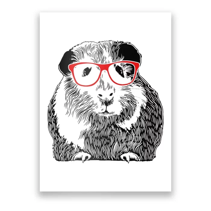 Guinea Pig Funny Guinea Pig Cute Guinea Pig Poster