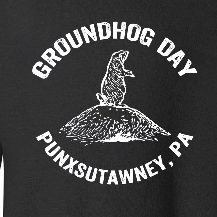 Groundhog Punxsutawney Funny Groundhog Day Shadow Gift Toddler Sweatshirt