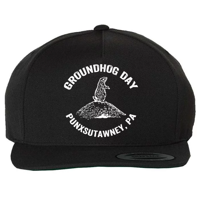 Groundhog Punxsutawney Funny Groundhog Day Shadow Gift Wool Snapback Cap