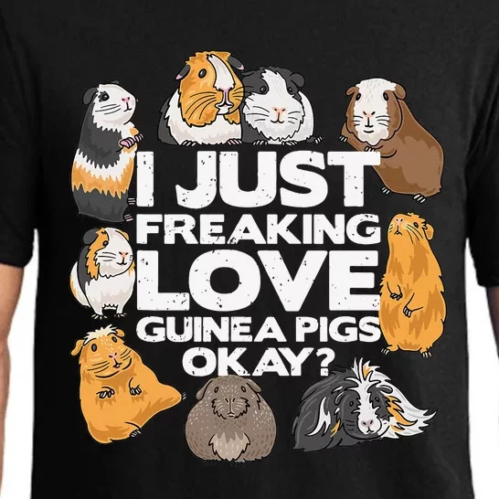 Guinea Pig Guinea Pig Lover Tee Funny Guinea Pig Pajama Set