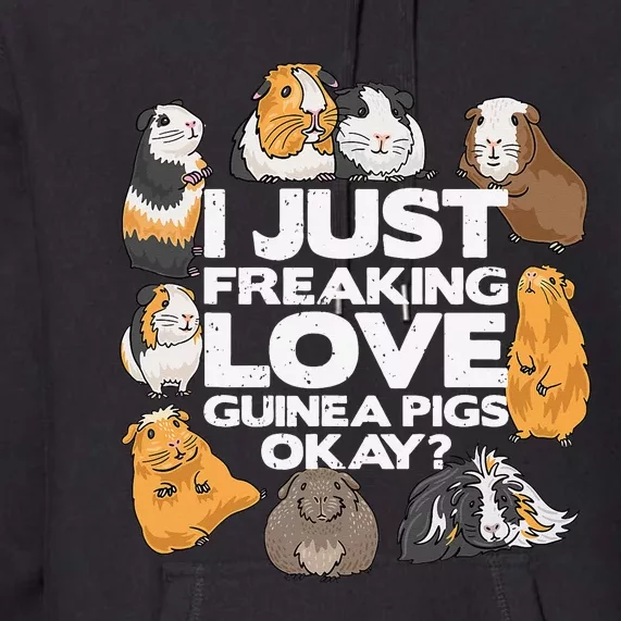 Guinea Pig Guinea Pig Lover Tee Funny Guinea Pig Premium Hoodie