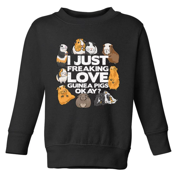 Guinea Pig Guinea Pig Lover Tee Funny Guinea Pig Toddler Sweatshirt