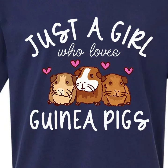 Guinea Pig Girl Who Loves Guinea Pigs Cute Guinea Pig Sueded Cloud Jersey T-Shirt