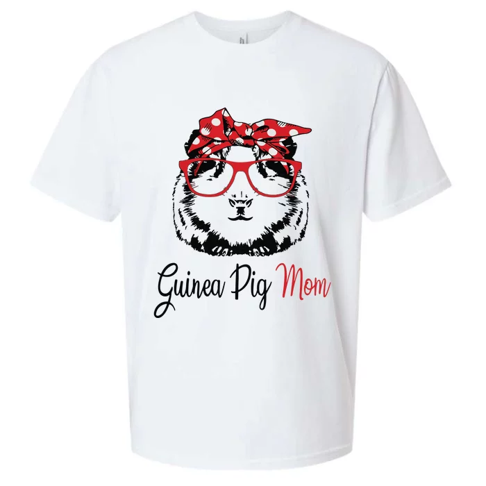 Guinea Pig Sueded Cloud Jersey T-Shirt