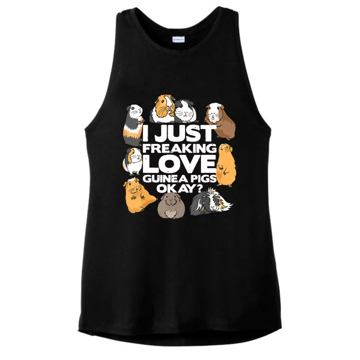 Guinea Pig Guinea Pig Lover Tee Funny Guinea Pig Ladies Tri-Blend Wicking Tank