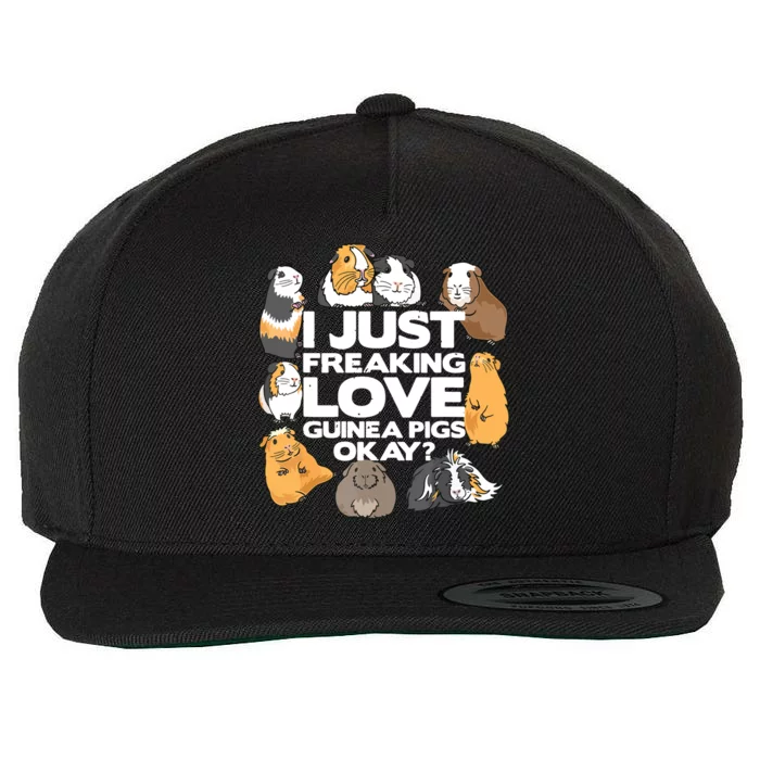 Guinea Pig Guinea Pig Lover Tee Funny Guinea Pig Wool Snapback Cap