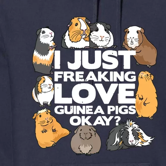 Guinea Pig Guinea Pig Lover Tee Funny Guinea Pig Premium Hoodie