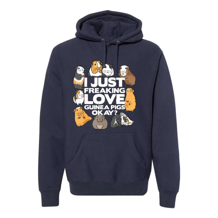 Guinea Pig Guinea Pig Lover Tee Funny Guinea Pig Premium Hoodie