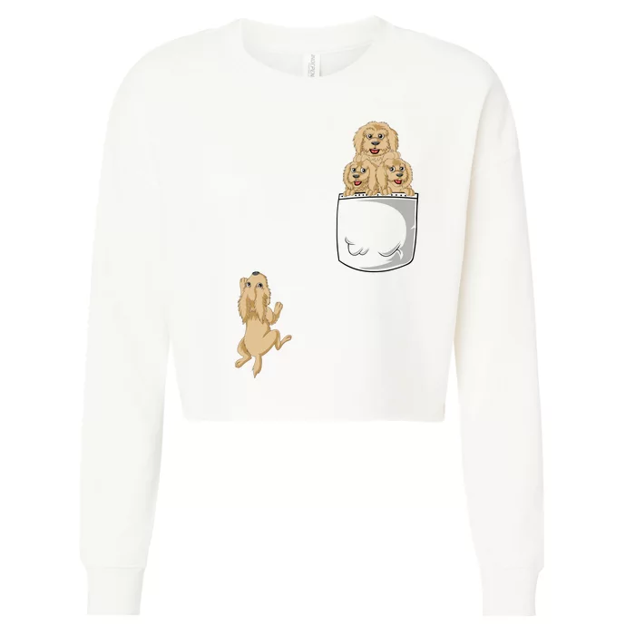 Goldendoodle Pocket Cropped Pullover Crew