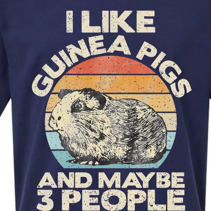 Guinea Pig Guinea Pig Lover Tee Funny Guinea Pig Sueded Cloud Jersey T-Shirt