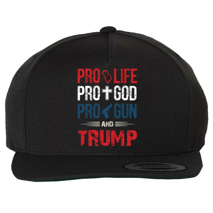 Great Pro Life Pro God Pro Gun Gift Wool Snapback Cap