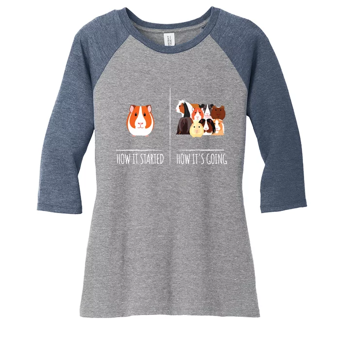 Guinea Pig Lovers Shirts Meme Pun Funny Pet Guinea Pig Women's Tri-Blend 3/4-Sleeve Raglan Shirt