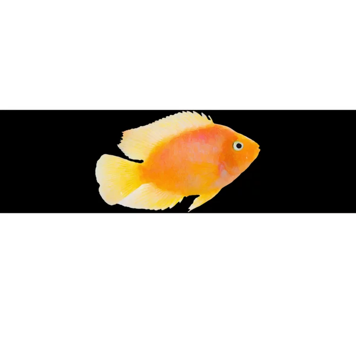 GoldFish Pet Novel Design For Aquarium Nature Lover Bumper Sticker