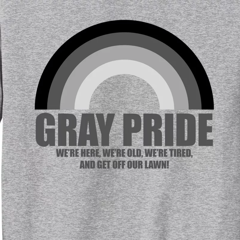 Gray Pride Senior Citizen Funny LGBTQ Tall Sweatshirt