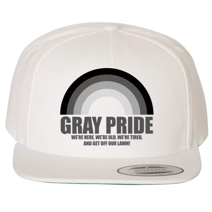 Gray Pride Senior Citizen Funny LGBTQ Wool Snapback Cap