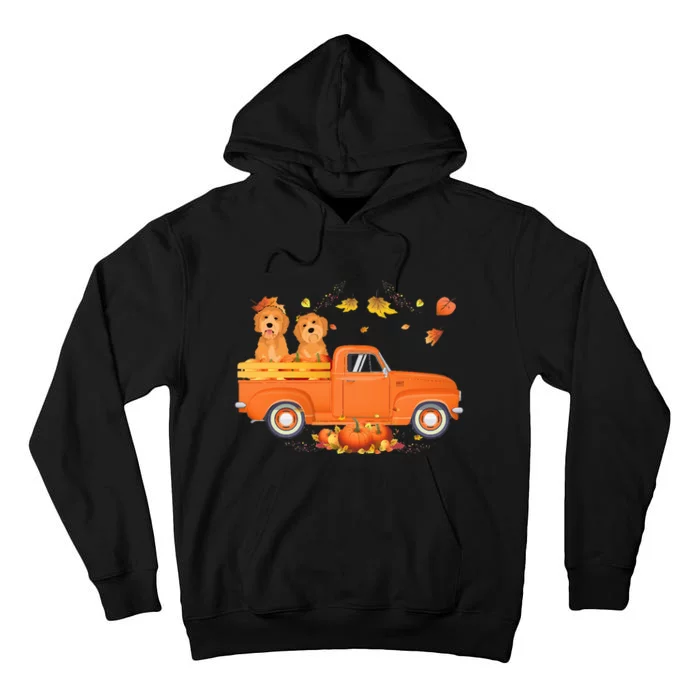 Goldendoodle Pumpkin Truck Fall Leaf Thanksgiving Halloween Tall Hoodie