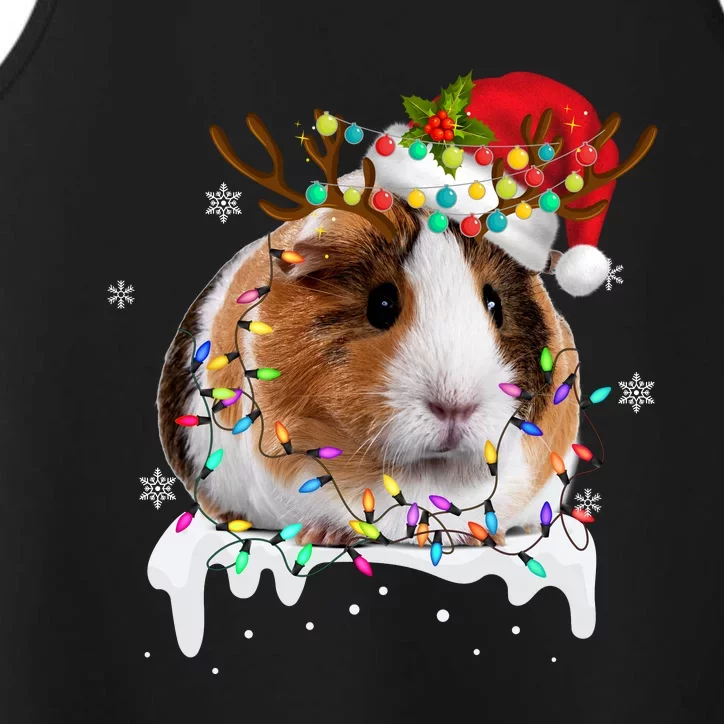 Guinea Pig With Christmas Lights And Santa Hat Xmas Animal Performance Tank