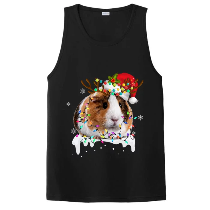 Guinea Pig With Christmas Lights And Santa Hat Xmas Animal Performance Tank