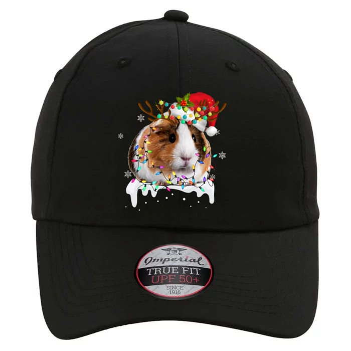 Guinea Pig With Christmas Lights And Santa Hat Xmas Animal The Original Performance Cap