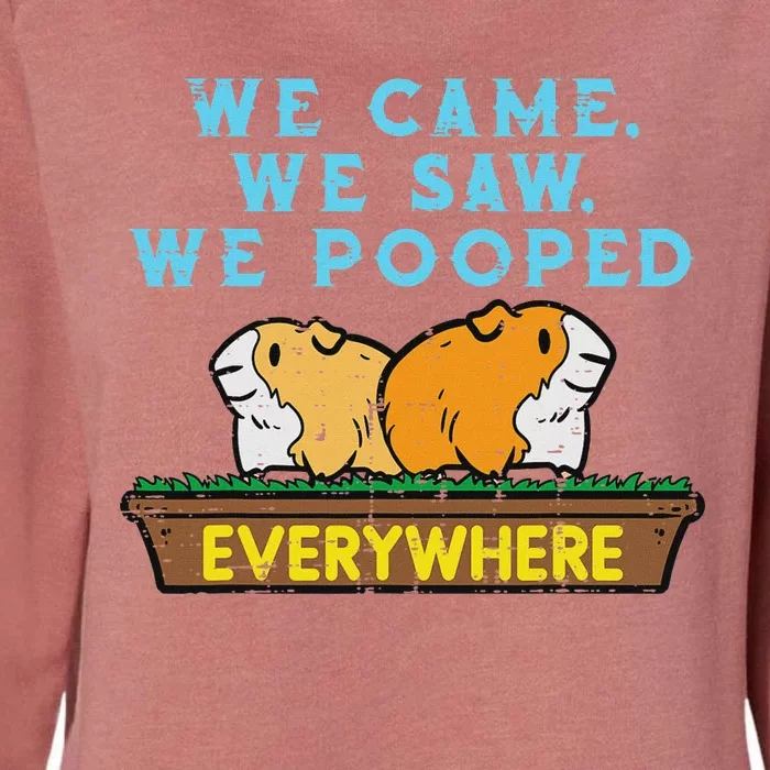 Guinea Pig We Came Saw Pooped Funny Cavy Pet Women Womens California Wash Sweatshirt