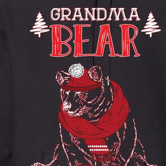 Grandma Bear Christmas Santa Family Matching Pajamas Premium Hoodie