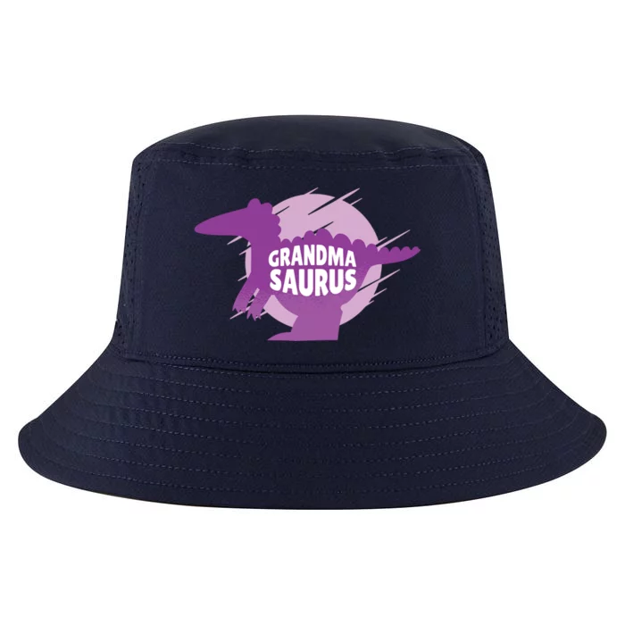 Grandma Saurus Cool Comfort Performance Bucket Hat