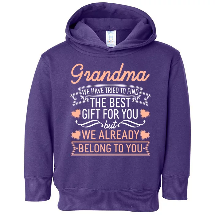 Grandma We Have Tried To Find The Best Gift For You Toddler Hoodie